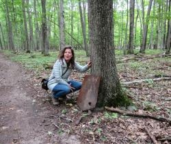 Fundraising Page Image