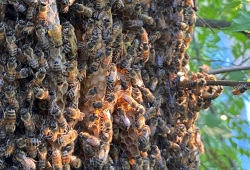 Fundraising Page Image