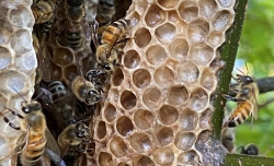 Fundraising Page Image