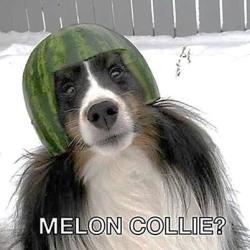 Fundraising Page Image