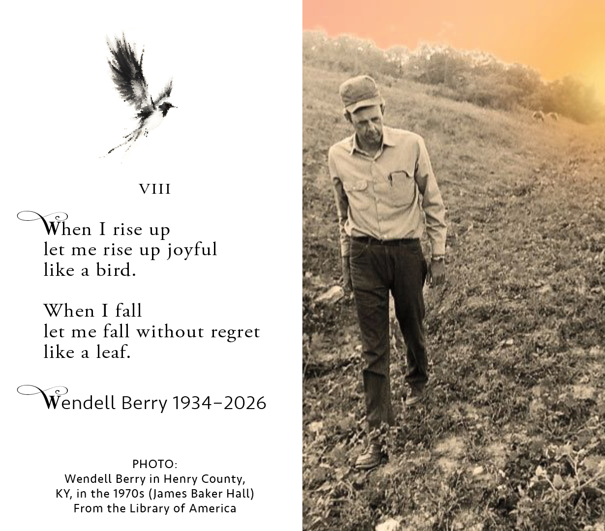 wendell-berry1.jpg